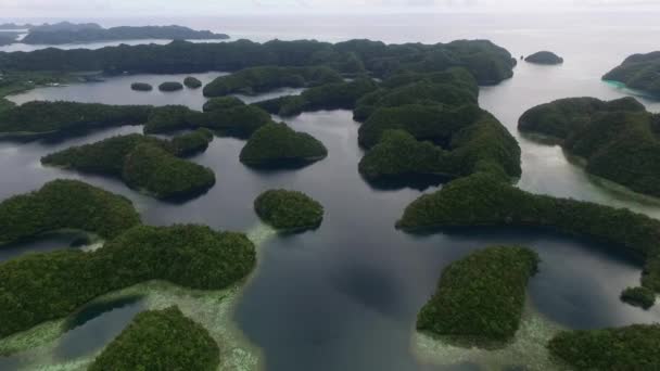 Palau Koror Island Area Met Veel Kleine Eilandjes Achtergrond Koraalriffen — Stockvideo