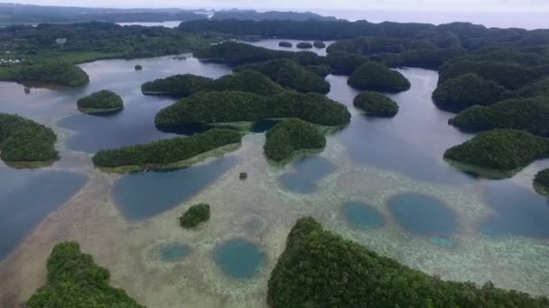 Palau Wyspy Koror Wieloma Małymi Wysepkami Tle Rafy Koralowe Laguny — Wideo stockowe
