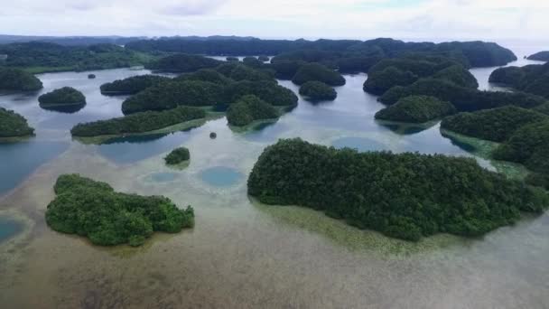 Palau Koror Island Area Com Muitas Pequenas Ilhas Segundo Plano — Vídeo de Stock