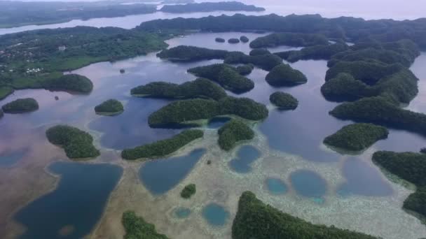 Palau Koror Island Área Con Muchos Islotes Pequeños Fondo Laguna — Vídeos de Stock
