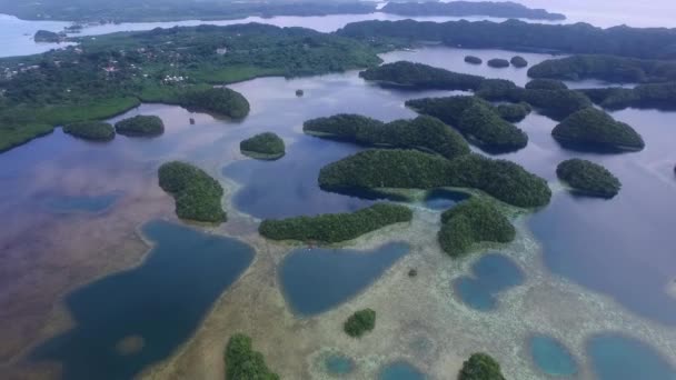 Palau Koror Island Área Con Muchos Islotes Pequeños Fondo Laguna — Vídeo de stock