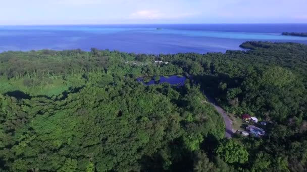 Palau Και Peleleliu Island Area Cityscape Στο Παρασκήνιο Κηφήνας — Αρχείο Βίντεο