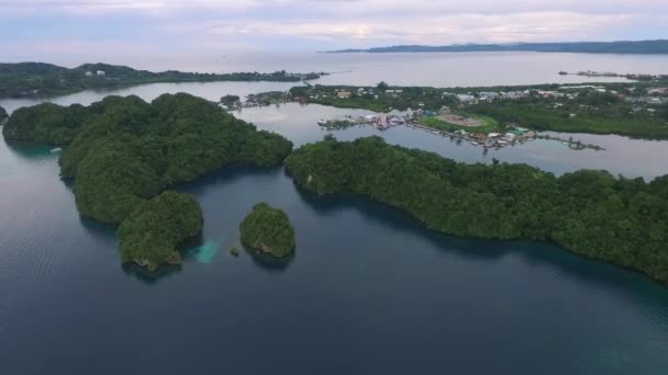 Die Meereslandschaft Der Insel Koror Palau Klares Wasser Und Stadtbild — Stockvideo