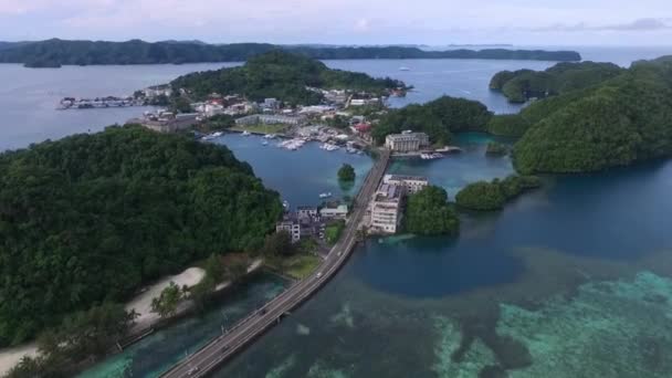 パラオのコロール島の海 背景にあるロングアイランド公園 ンガレメドゥー湾保全地域とホテル ドローン — ストック動画