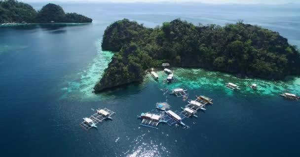 Malwawey Coral Garden Coron Palawan Filipinas Paisaje Islas Segundo Plano — Vídeos de Stock