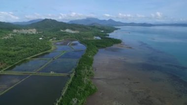 Filipinler, Palawan 'daki Puerto Prensesi. Honda Bay 'de sahil şeridi ve botlar arka planda. Sulu Denizi. İHA