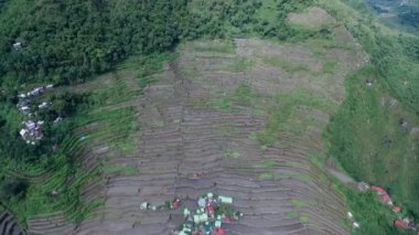 Filipinler, Banaue 'de Rice Terasları. Manzaralı bir yer. Rice Teraslarının Doğa ve Manzarası. İHA