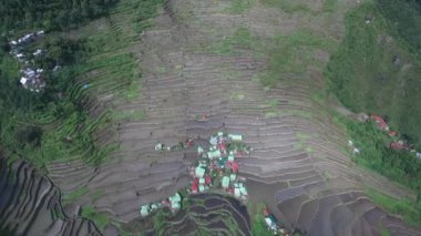 Filipinler, Banaue 'de Rice Terasları. Manzaralı bir yer. Rice Teraslarının Doğa ve Manzarası. İHA