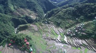 Filipinler, Banaue 'de Rice Terasları. Manzaralı bir yer. Rice Teraslarının Doğa ve Manzarası. İHA
