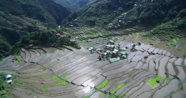 Filipinler, Banaue 'de Rice Terasları. Manzaralı bir yer. Rice Teraslarının Doğa ve Manzarası. İHA