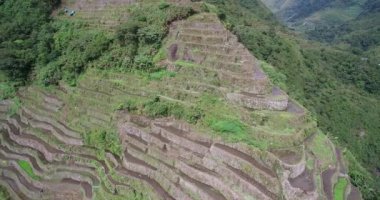 Filipinler, Banaue 'de Rice Terasları. Manzaralı bir yer. Rice Teraslarının Doğa ve Manzarası. İHA