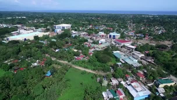 Puerto Princesa Ciudad Palawan Filipinas Selva Arquitectura Antecedentes Drone — Vídeo de stock