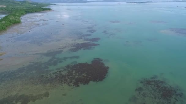 Puerto Princesa Palawan Philippines Honda Bay Avec Littoral Bateaux Arrière — Video