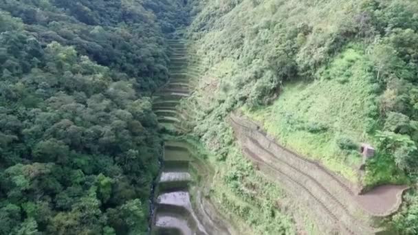 Risterrasser Banaue Filippinerna Platsen För Sightseeing Natur Och Landskap Rice — Stockvideo