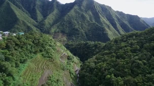 Terrazze Riso Banaue Nelle Filippine Posto Turistico Natura Paesaggio Delle — Video Stock