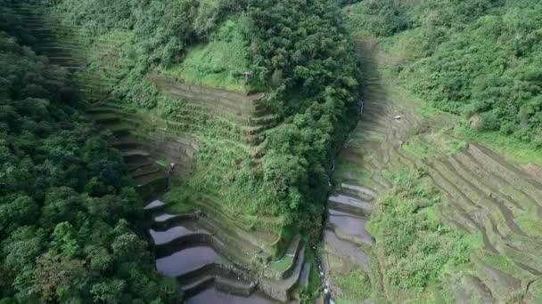 Rice Terraces Στο Banaue Στις Φιλιππίνες Ένα Αξιοθέατο Φύση Και — Αρχείο Βίντεο