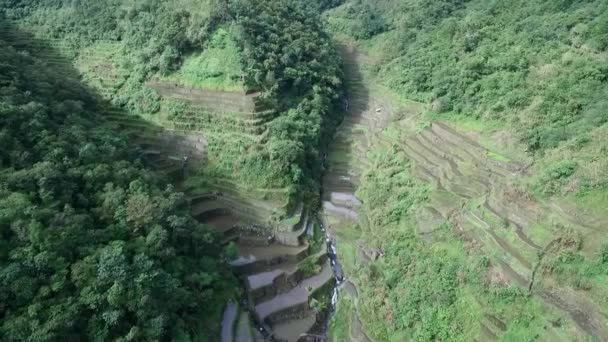 Rijstterrassen Banaue Filippijnen Bezienswaardigheden Natuur Landschap Van Rijstterrassen Drone — Stockvideo
