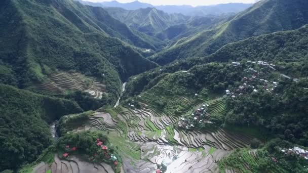 Riisiterassit Banauessa Filippiineillä Nähtävyyksiä Riisiterassien Luonto Maisema Lennokki — kuvapankkivideo