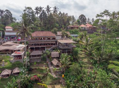 Bali, Endonezya 'da Ceking Rice Terrace. Arkaplanda pirinç tarlaları. Drone bakış açısı. Geniş Açı