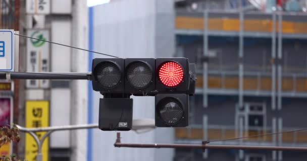 Світлофор Червоний Перетворюється Зелений Токіо Японія — стокове відео