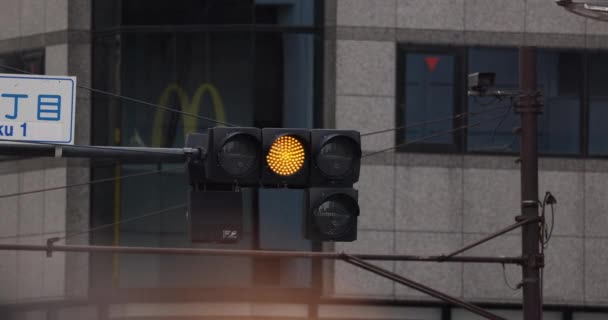 Değişen Kırmızı Yeşil Sarı Işıklı Trafik Işıkları Tokyo Japonya — Stok video