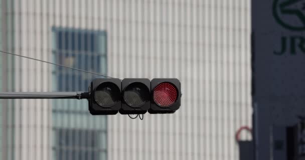 Trafik Işığı Kırmızısı Yeşile Döner Tokyo Japonya — Stok video