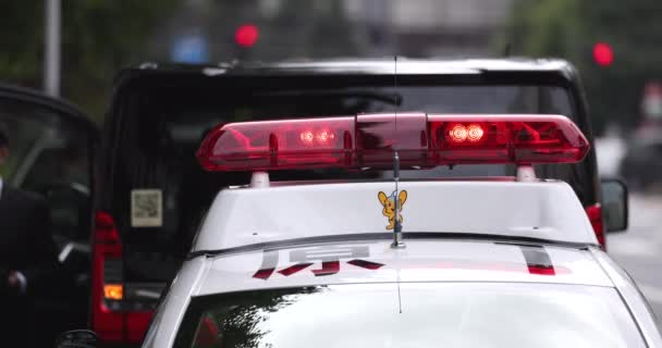 도쿄의 경찰차 플래시 라이트 — 비디오