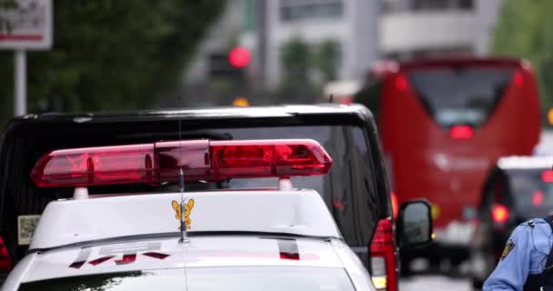 Oficial Policía Caminando Sobre Violaciones Tránsito Tokio Japón Coche Policía — Vídeo de stock