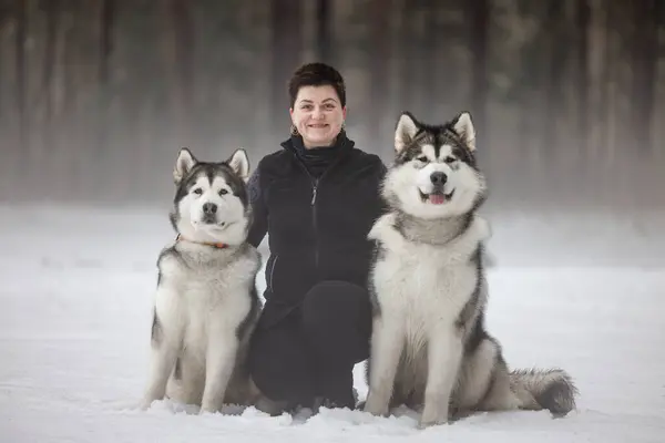 Happy Young Girl Two Malamute Dogs Snowy Hazy Mist Foggy Stock Photo