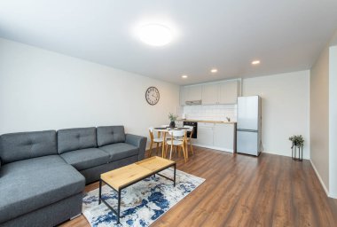 Modern Ev Oturma Odası ve Mutfak İçi. Lüks modern apartman dairesi. İç mekan, Mobilya, Beyaz Mobilya, İskandinav Tasarımı.