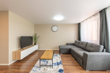 Modern Ev Oturma Odası İçi. Lüks modern apartman dairesi. Açık Alan, Şık Koltuk, Kahve Masası, İskandinav Tasarımı. Pencereler ve Perdeler. Yerde halı, Masada TV Ekranı