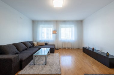 Modern Ev Oturma Odası İçi. Lüks modern apartman dairesi. Açık Alan, Şık Koltuk, Kahve Masası, İskandinav Tasarımı. Pencereler ve Perdeler. Yerde halı var.
