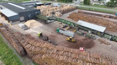 Ahşap bıçkıhanesi, ahşap işleme makineleri. İşleme tesisi. İşçi bir yükleyici, modern ahşap işleme fabrikası, kamyonete çip yükleme. Biyoyakıt