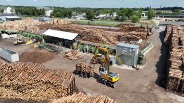 Ahşap bıçkıhanesi, ahşap işleme makineleri. İşleme tesisi. İşçi işletme yükleyicisi, modern ahşap işleme fabrikası, işleme ve imalat için üretim hattına yeni kesilmiş kütükleri yükleyin..