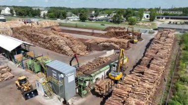 Ahşap bıçkıhanesi, ahşap işleme makineleri. İşleme tesisi. İşçi işletme yükleyicisi, modern ahşap işleme fabrikası, işleme ve imalat için üretim hattına yeni kesilmiş kütükleri yükleyin..
