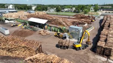 Ahşap bıçkıhanesi, ahşap işleme makineleri. İşleme tesisi. İşçi işletme yükleyicisi, modern ahşap işleme fabrikası, işleme ve imalat için üretim hattına yeni kesilmiş kütükleri yükleyin..