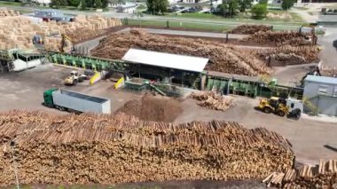 Ahşap bıçkıhanesi, ahşap işleme makineleri. İşleme tesisi. İşçi işletme yükleyicisi, modern ahşap işleme fabrikası, işleme ve imalat için üretim hattına yeni kesilmiş kütükleri yükleyin..