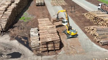 Ahşap bıçkıhanesi, ahşap işleme makineleri. İşleme tesisi. İşçi işletme yükleyicisi, modern ahşap işleme fabrikası, işleme ve imalat için üretim hattına yeni kesilmiş kütükleri yükleyin..