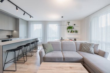 Modern Ev Oturma Odası ve Mutfak İçi. Lüks modern apartman dairesi. İç mekan, şık kanepe, kanepe. Geniş Açı