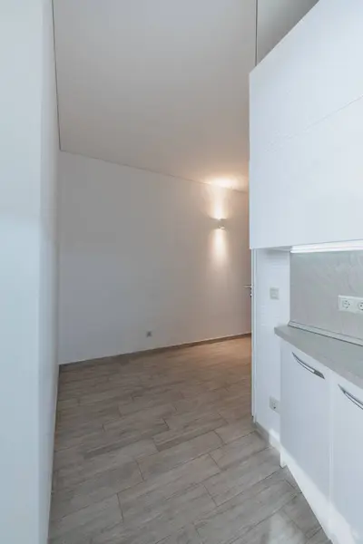 Ev Girişi Salonu. İç mekan. Tahta dış kapı, kahverengi zemin. Minimalizm. LED Işık. Geniş Açı