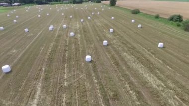 Sahada saman paketleri olan tarım manzarası. Plastik beyaz folyoya sarılı tahıl gevreği balyası. Litvanya