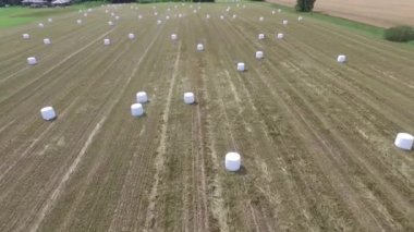 Sahada saman paketleri olan tarım manzarası. Plastik beyaz folyoya sarılı tahıl gevreği balyası. Litvanya