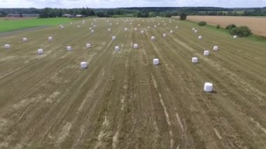 Sahada saman paketleri olan tarım manzarası. Plastik beyaz folyoya sarılı tahıl gevreği balyası. Litvanya