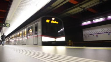 Yeraltı tren istasyonundaki yolcular. Demiryolu. Toplu taşıma. Viyana, Avusturya.