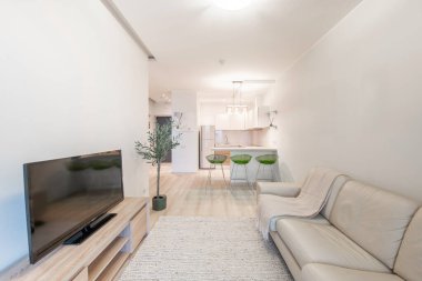 Modern Ev Oturma Odası. Lüks modern apartman dairesi. Açık iç mekan, İskandinav Tasarımı. Yeşil Çiçek. Arka plandaki mutfak. Geniş Açı