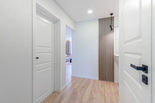 Home Entrance Hall, Hallway Interior. Wooden Outdoor Door, Brown Flooring. Minimalism. LED Light. Closet, Wardrobe on the Left. Mirror. Wide Angle