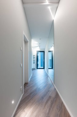 Parlak ve temiz bir iç koridor, doğal ahşap döşeme, büyük bir ayna ve minimalist bir tasarım. Modern ışıklandırma ve açık havaya açılan şık bir kapı. Modern Ev Koridoru