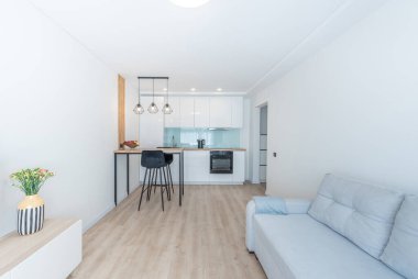 Parlak modern mutfak ve açık alanı olan oturma odası. Konforlu mobilyalar, şık aletler ve çağdaş tasarım gibi özellikler mevcuttur. Modern Açık Oturma Odası ve Şık Dekorlu Mutfak İçi.