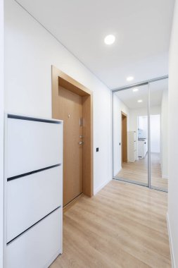 Ahşap döşeme, beyaz bir kapı ve aynalı gardırop kapılarının olduğu parlak ve çağdaş bir koridor tasarımı. Ahşap döşemeli modern koridor. İskandinav Tarzı