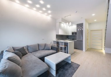 Parlak, modern bir dairede gri kesimlik kanepesi, kahve masası ve gri dolapları ve kahvaltı barı olan açık bir mutfak bulunur. Ev İçi